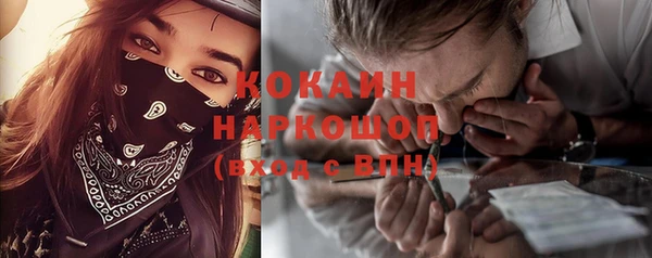 прущие грибы Зеленокумск