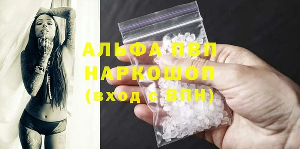 прущие грибы Зеленокумск
