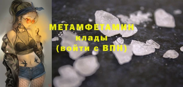 прущие грибы Зеленокумск