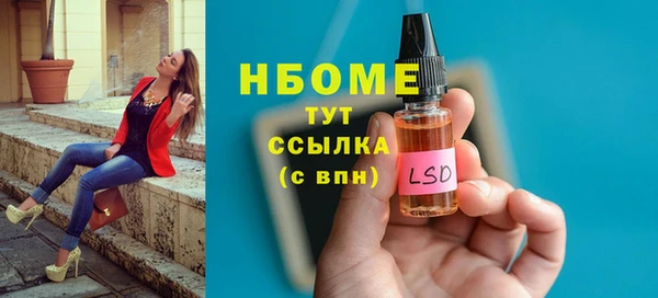 прущие грибы Зеленокумск