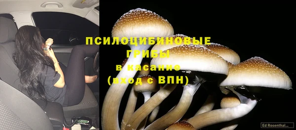 сатива Зеленодольск