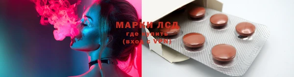 прущие грибы Зеленокумск