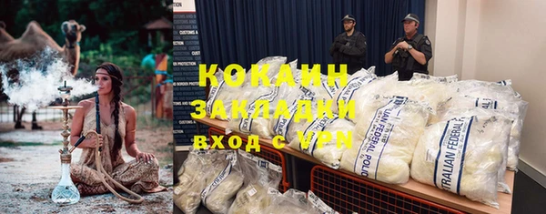 прущие грибы Зеленокумск