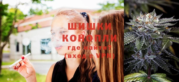 прущие грибы Зеленокумск