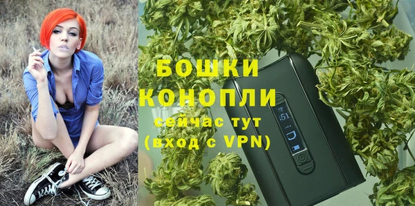 сатива Зеленодольск